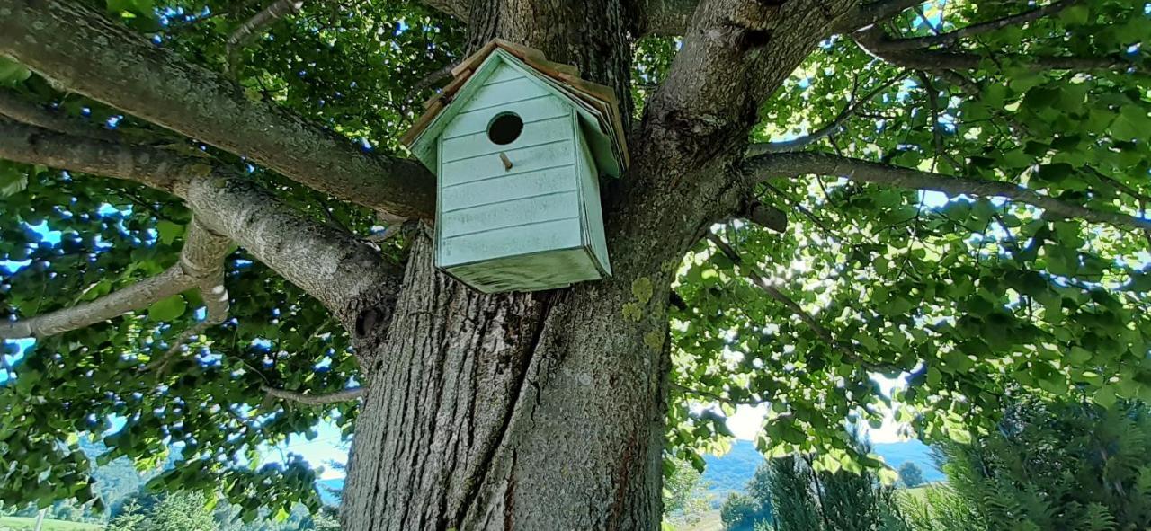 Wooden House Nela Near Plitvice Lakes スモーヤナク エクステリア 写真