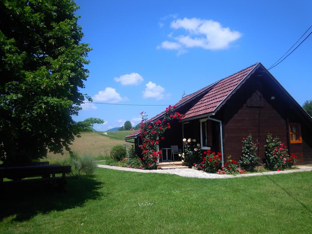 Wooden House Nela Near Plitvice Lakes スモーヤナク エクステリア 写真
