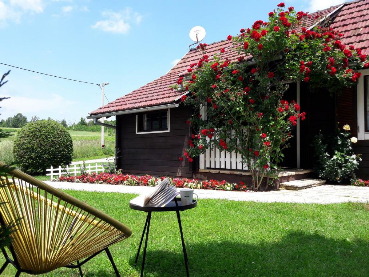Wooden House Nela Near Plitvice Lakes スモーヤナク エクステリア 写真